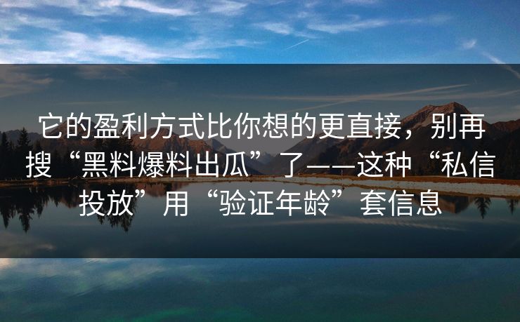 它的盈利方式比你想的更直接，别再搜“黑料爆料出瓜”了——这种“私信投放”用“验证年龄”套信息