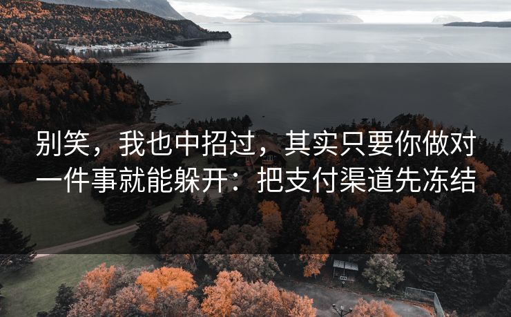 别笑，我也中招过，其实只要你做对一件事就能躲开：把支付渠道先冻结