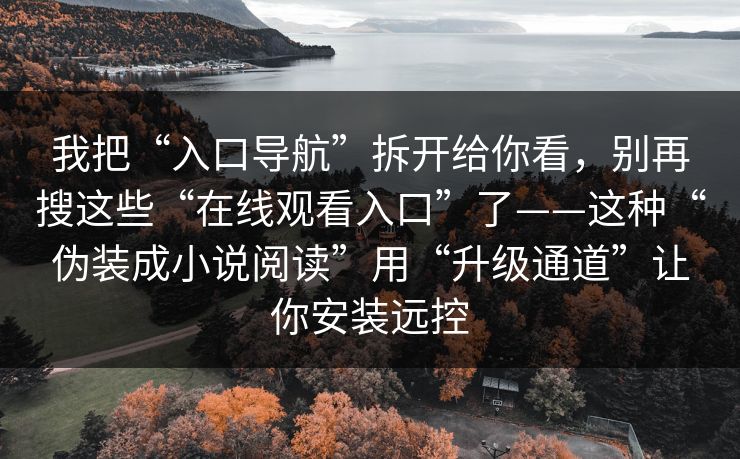 我把“入口导航”拆开给你看，别再搜这些“在线观看入口”了——这种“伪装成小说阅读”用“升级通道”让你安装远控