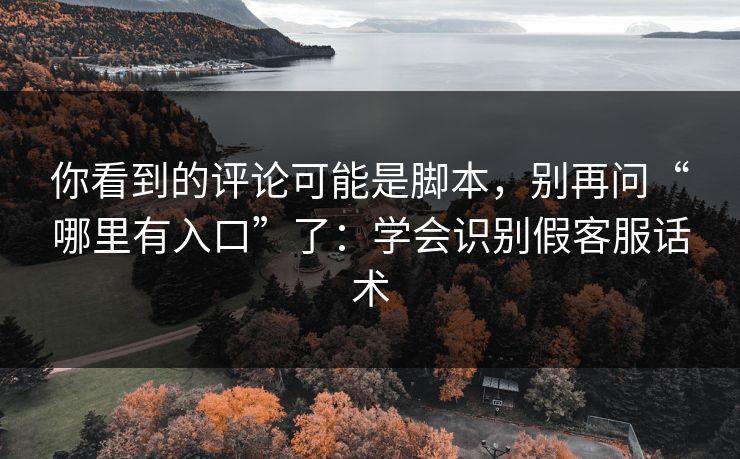 你看到的评论可能是脚本，别再问“哪里有入口”了：学会识别假客服话术