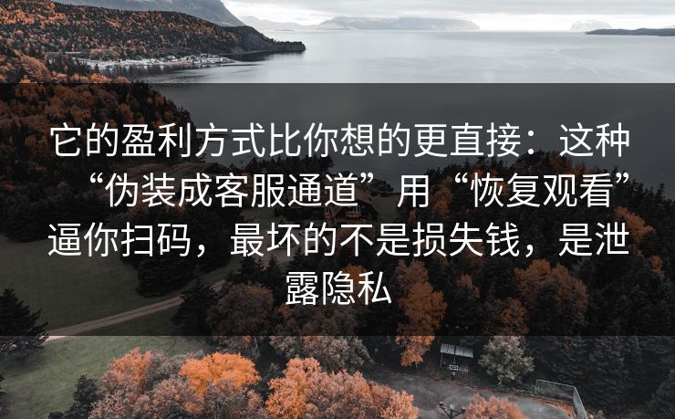 它的盈利方式比你想的更直接：这种“伪装成客服通道”用“恢复观看”逼你扫码，最坏的不是损失钱，是泄露隐私