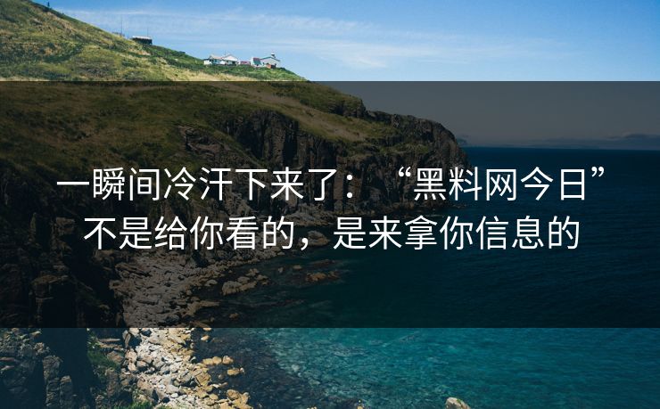 一瞬间冷汗下来了：“黑料网今日”不是给你看的，是来拿你信息的