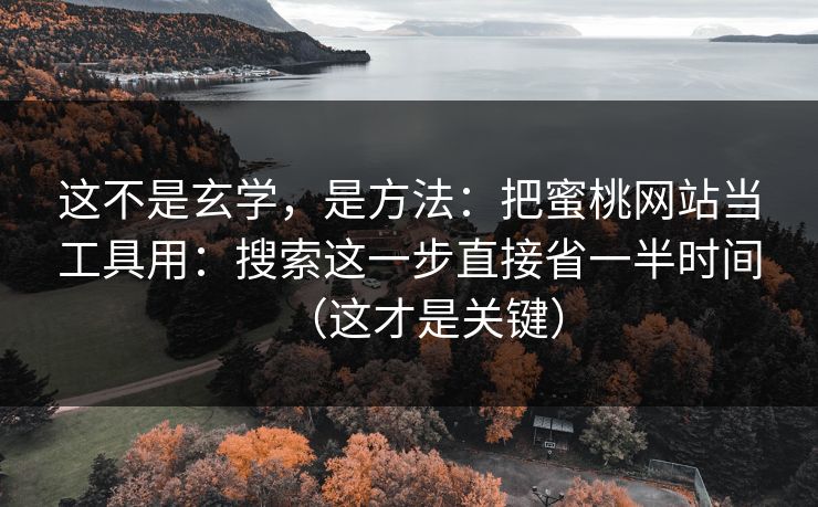 这不是玄学，是方法：把蜜桃网站当工具用：搜索这一步直接省一半时间（这才是关键）
